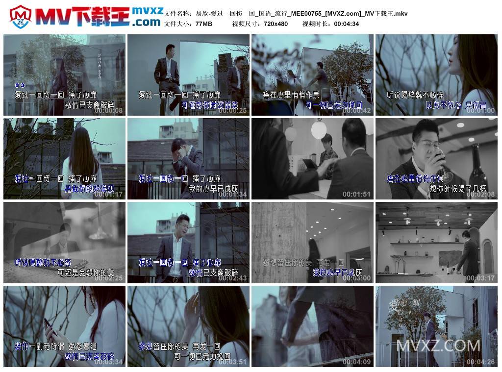 易欣-爱过一回伤一回_国语_流行_MEE00755